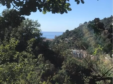 terrain non constructible menton/ careï-mont gros