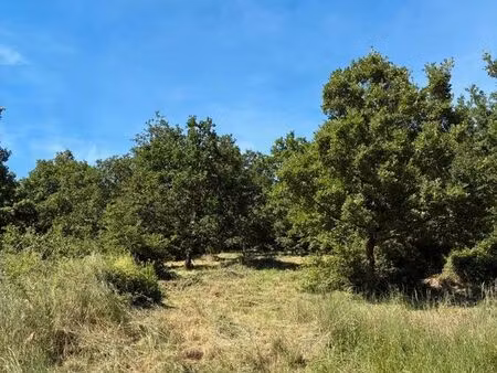 terrain agricole