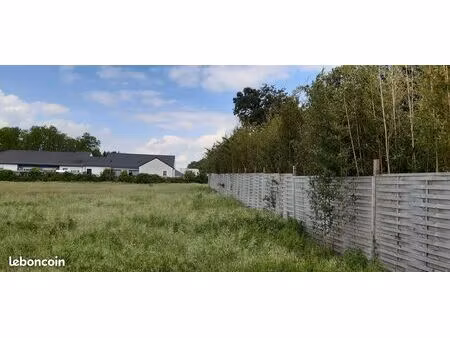 terrains constructible