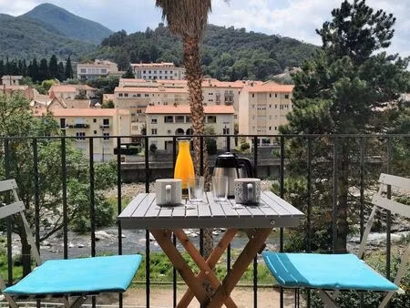 appartement traversant  très lumineux  refait entièrement (vendu meublé)