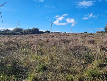 terrain 9990 m2 baixas