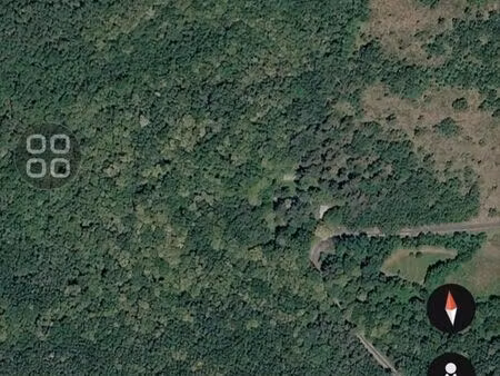 parcelles forestières bois