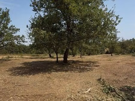 terrain agricole 7967m2 za elne