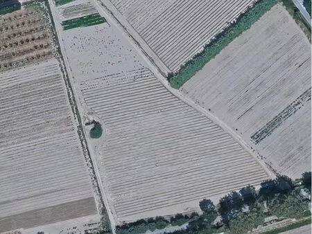 terre agricole + casot en dur (eau + électricité)
