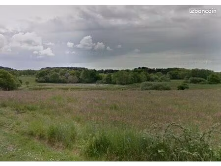 terrain constructible 786m2 plein sud/ centre ville à pied/ 6km de guérande/ 300m de l’éco