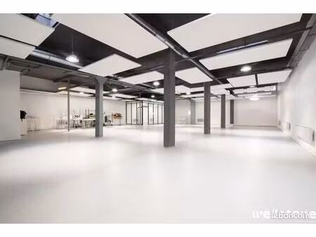 bureaux 460 m²