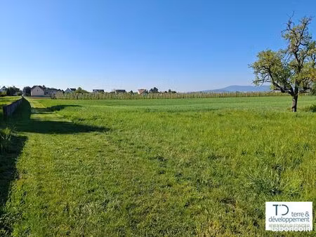 terrain de 471 m² à dachstein (bas-rhin)