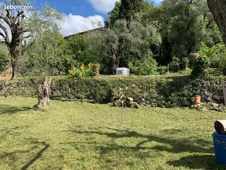 terrain 2000m2