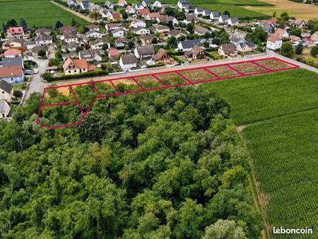 terrain viabilisé - libre de constructeur - proche allemagne