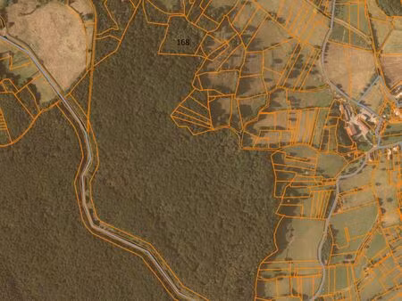 parcelle de bois