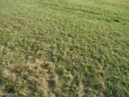 terrain de 28 ares entièrement constructible