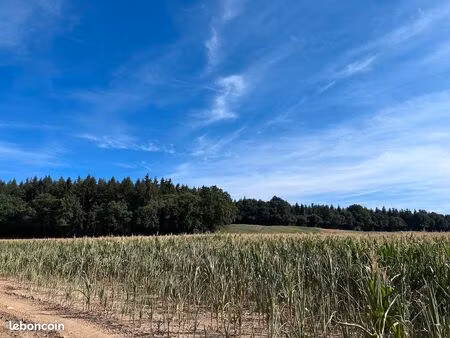 location terres chasse