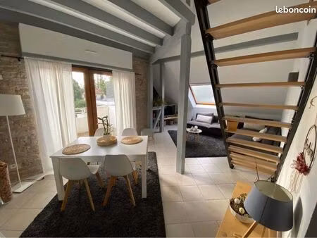 bel appartement duplex au dernier étage