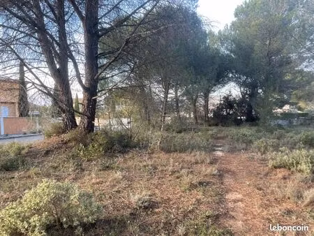 terrain 901 m² alleins