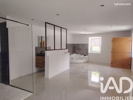loft/atelier/surface 2 pièces 55 m²