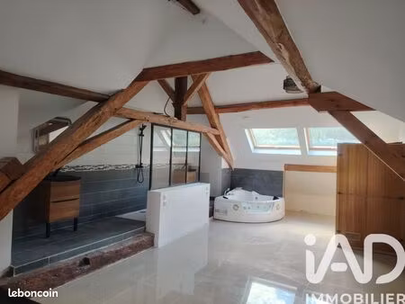 loft/atelier/surface 2 pièces 60 m²