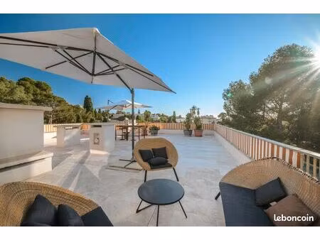 appartement toit terrasse (200 m²) secteur cannet mairie