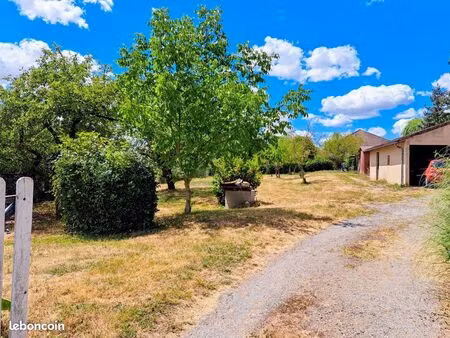 beau terrain constructible arboré