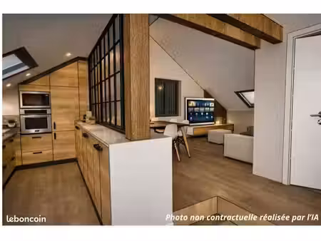 plateau / combles de 85m2 au sol et 47m2 loi carrez