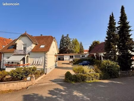 rosheim  maison 8 pièces  230 m2