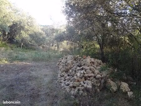 beau terrain constructible de 743 m2