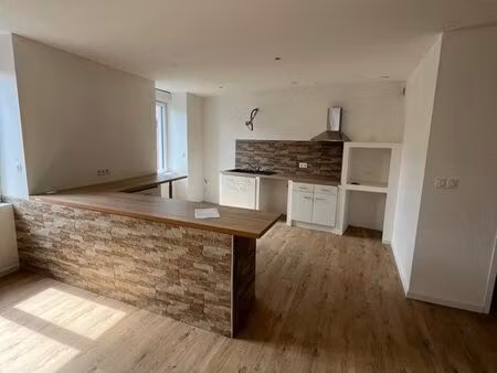 grand appartement rénové t3
