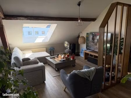 bel appartement lumineux 55 mètres carrés valdoie