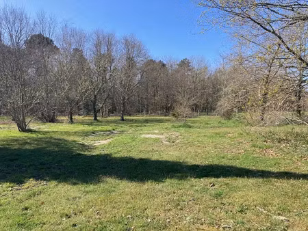 vente terrain 700 m² à lanton (33138)  225 000 €