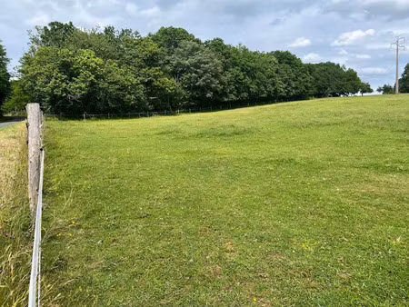 vente terrain 3300 m² à cause-de-clérans (24150)  25 000 €