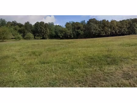 vente terrain 6000 m² à cause-de-clérans (24150)  39 000 €
