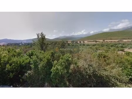 achat : terrain (20233)