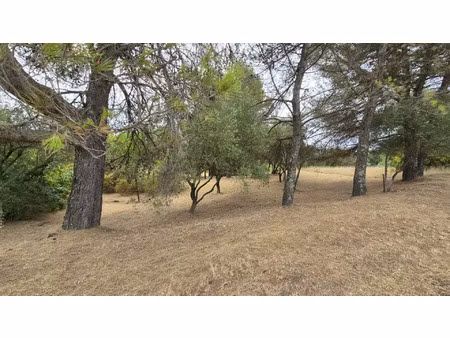 terrain viabilisé à vendre ales (30)