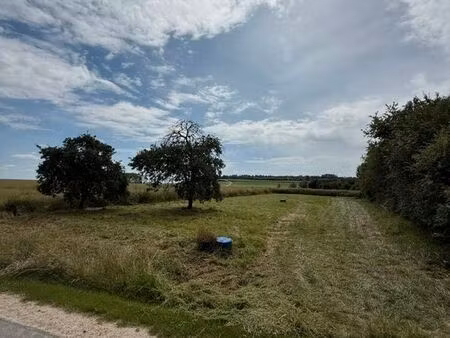 terrain constructible