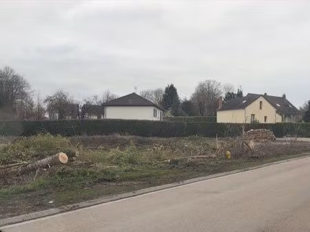 terrain constructible