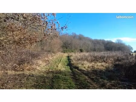 terrain agricole