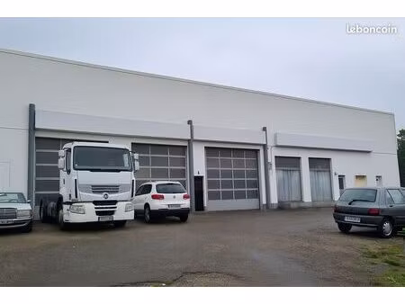 batiment commercial 980 m2