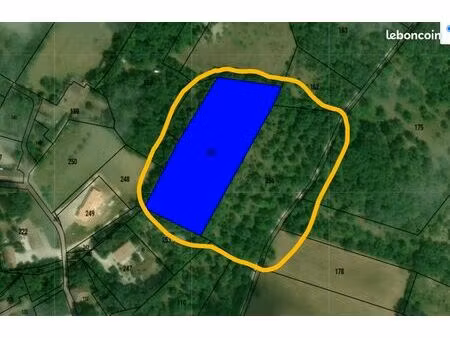 vends terrain arboré 1 3 hectare ou 13333m2