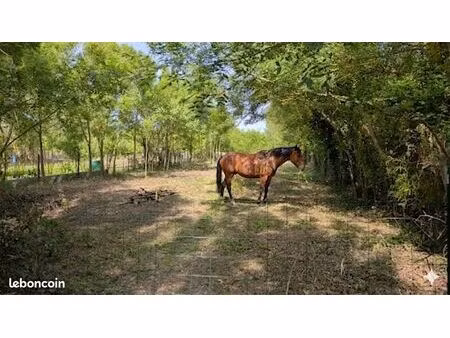 terrain de loisir 624 m² avec eau + cabanon