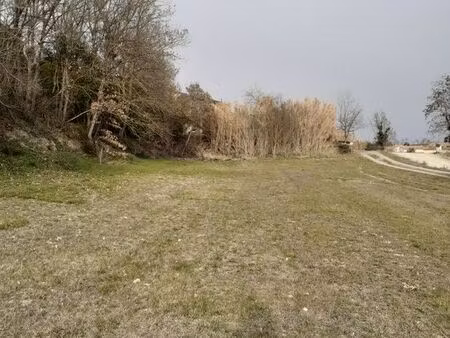 terrain à cépie