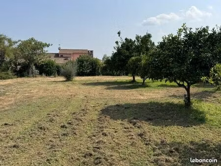 terrain 606 m² prunelli-di-fiumorbo