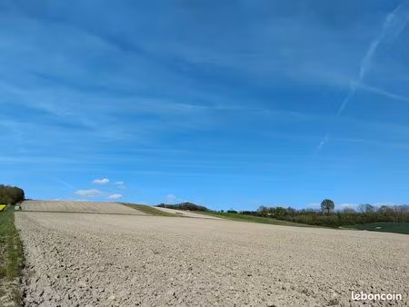 rare – vignoble de 4 80 ha plein sud – sud ardennes