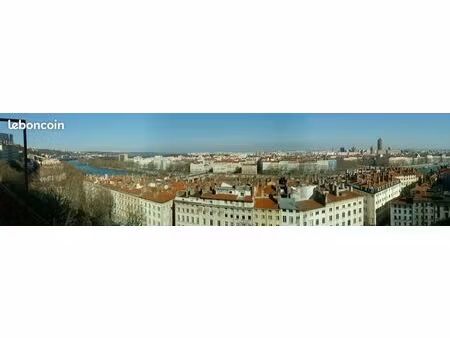 t4 87 m2  vue panoramique et jardin en vis à vis  plein centre de lyon