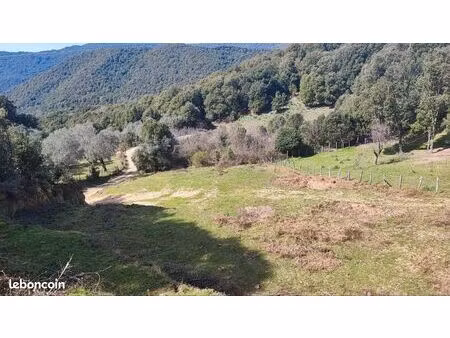 terrain 2000 m2 olivese