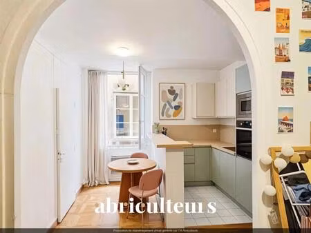 appartement lumineux de 27 m² à rénover  emplacement d’exception entre terreaux et saint-n