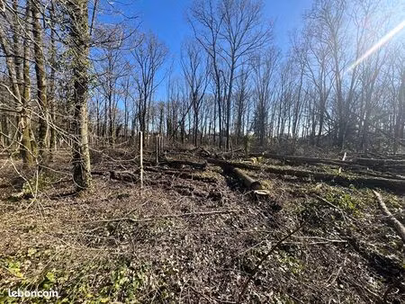 terrain 650 m² montlhéry