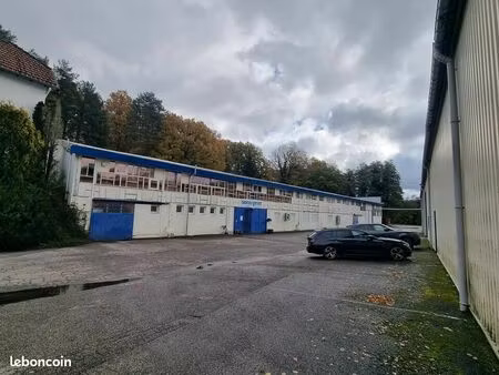 local d'activité 3 563 m²