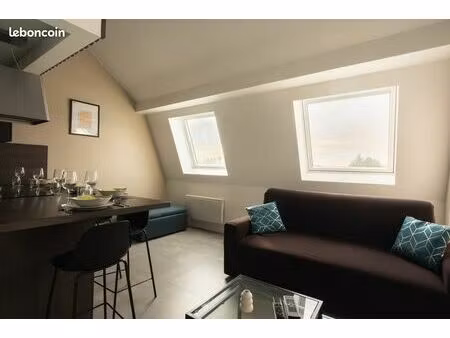 superbe duplex t2 meublé 40 m² – centre-ville – dpe c – parking gratuit
