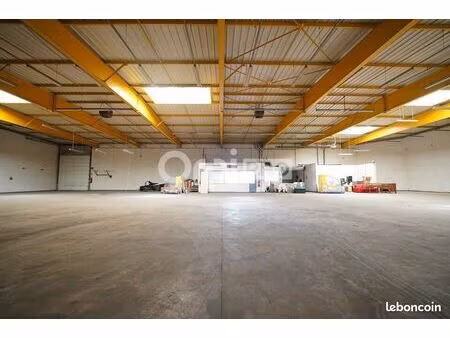 local d'activité 1 420 m²
