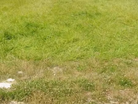 vente terrain à batir 817 m² à chalons-en-champagne (51000)  58 300 €