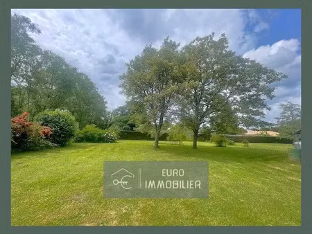 vente terrain à batir 1180 m² à bazas (33430)  87 000 €